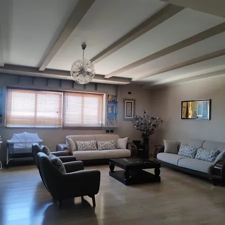 Andi Apartment *